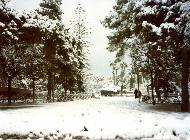 Piazza Vittorio Emanule II coperta di neve