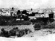 Orto Scinosa - 1911