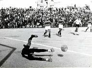 Bisceglie calcio 1965