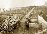 Impianto viticoltura antifillosserico, 1923