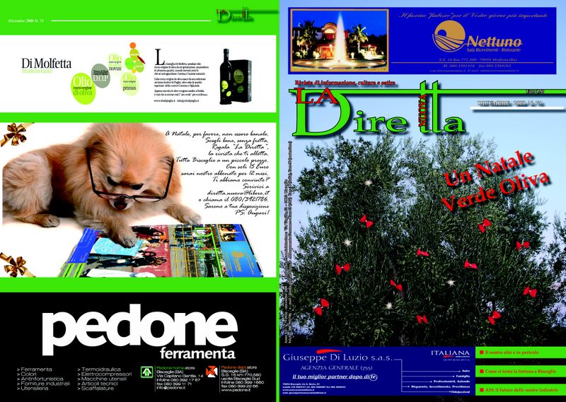 La Diretta - dicembre 2008 nr. 75