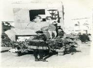 Festa della matricola gen  -  51